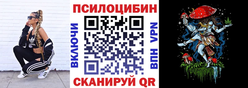 ссылка на мегу ССЫЛКА  продажа наркотиков  Кушва  Псилоцибиновые грибы мухоморы 